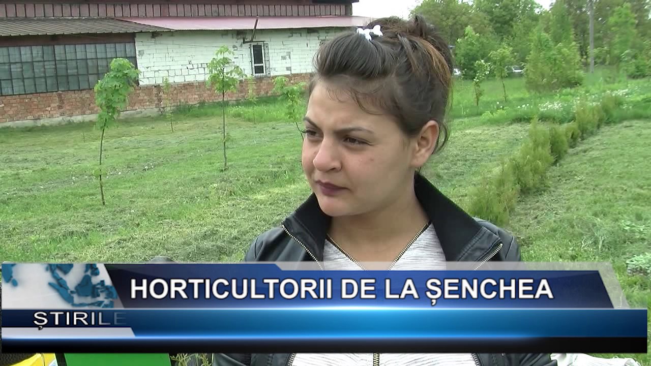 Horticultorii de la Senchea. Iata oferta completa de scolarizare!