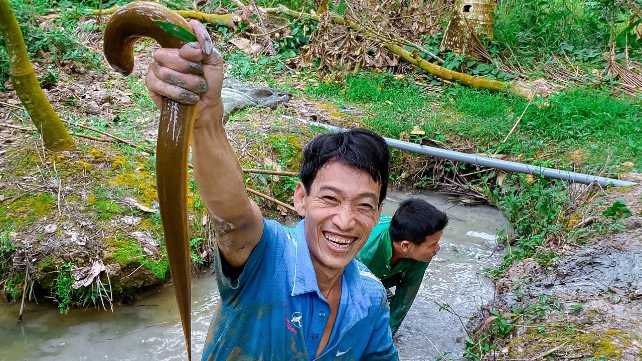 Cao Thủ Bắt Quá Nhiều Lươn Bự, Rắn, Cá Lóc 