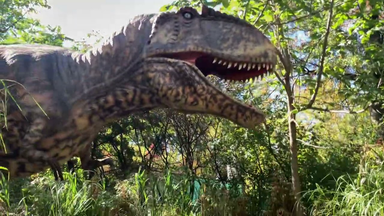 Dinosaur safari 🦖🦕 at the Bronx zoo