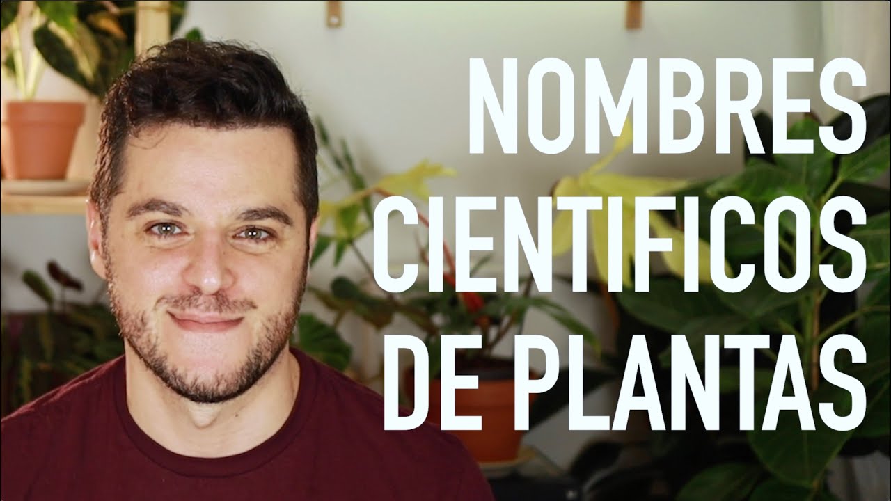 Nombres Científicos de las Plantas: 4 Cosas Que Es Útil Saber!