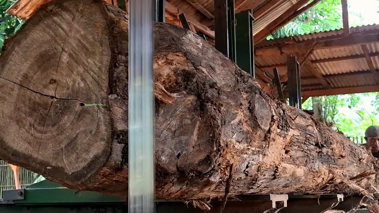Sacred teak wood from the slopes of Mount Semeru 