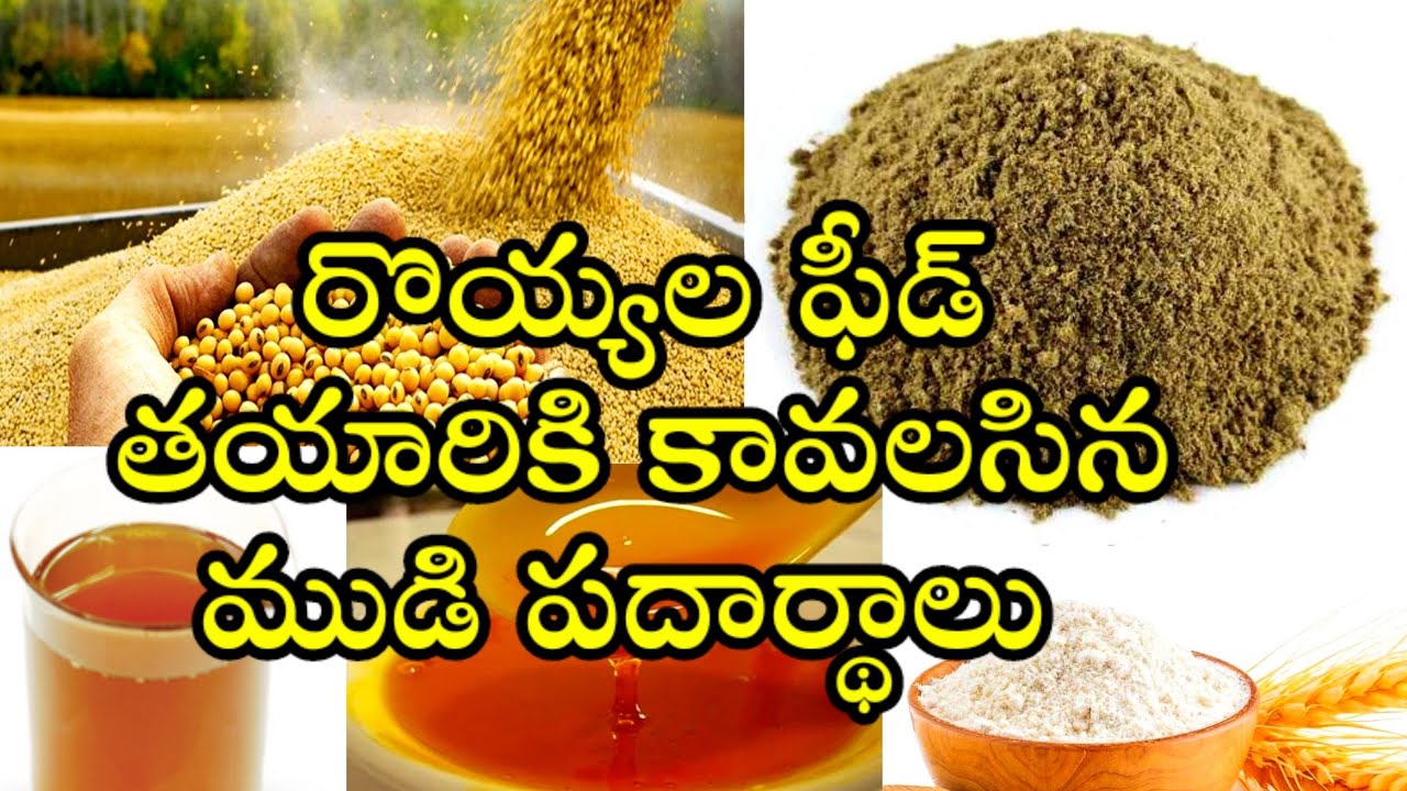 PART 2 - SHRIMP FEED INGREDIENTS||RAW MATERIAL FOR SHRIMP FEED||soya doc||fishmeal @Shrimpfeed2022