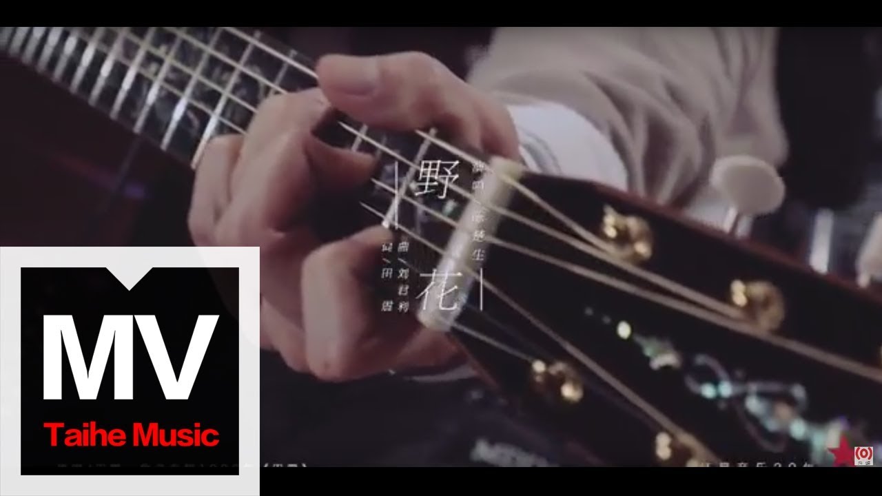 陳楚生【野花】（原唱：田震）官方完整版 MV