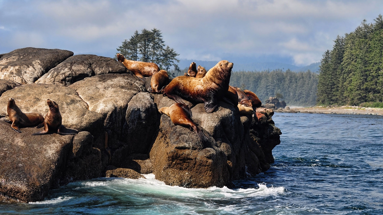 West Coast Trail - The Best Hike in the World - Full Documentary