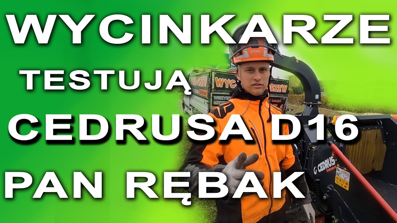 WYCINKARZE TESTUJĄ CEDRUSA  D16   Pan Rębak