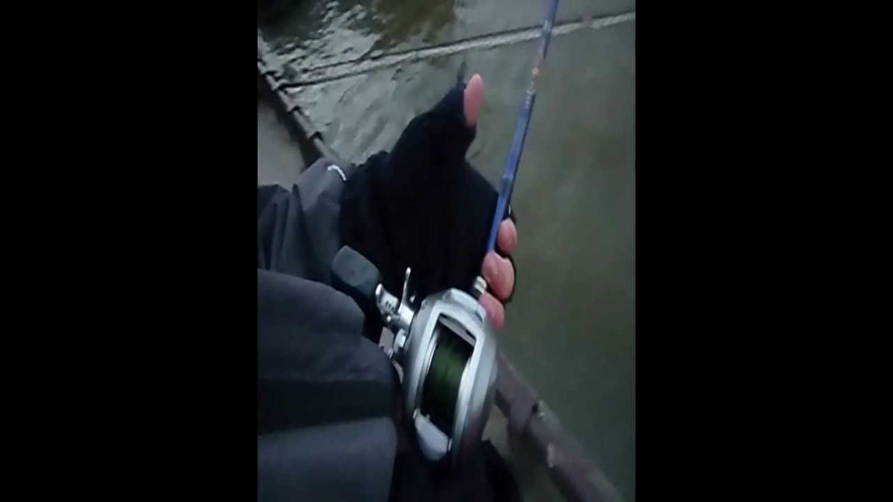 P&ecirc;che Silure Glane 1m85 in dans Paris ! [HD] Fight combat Street Fishing