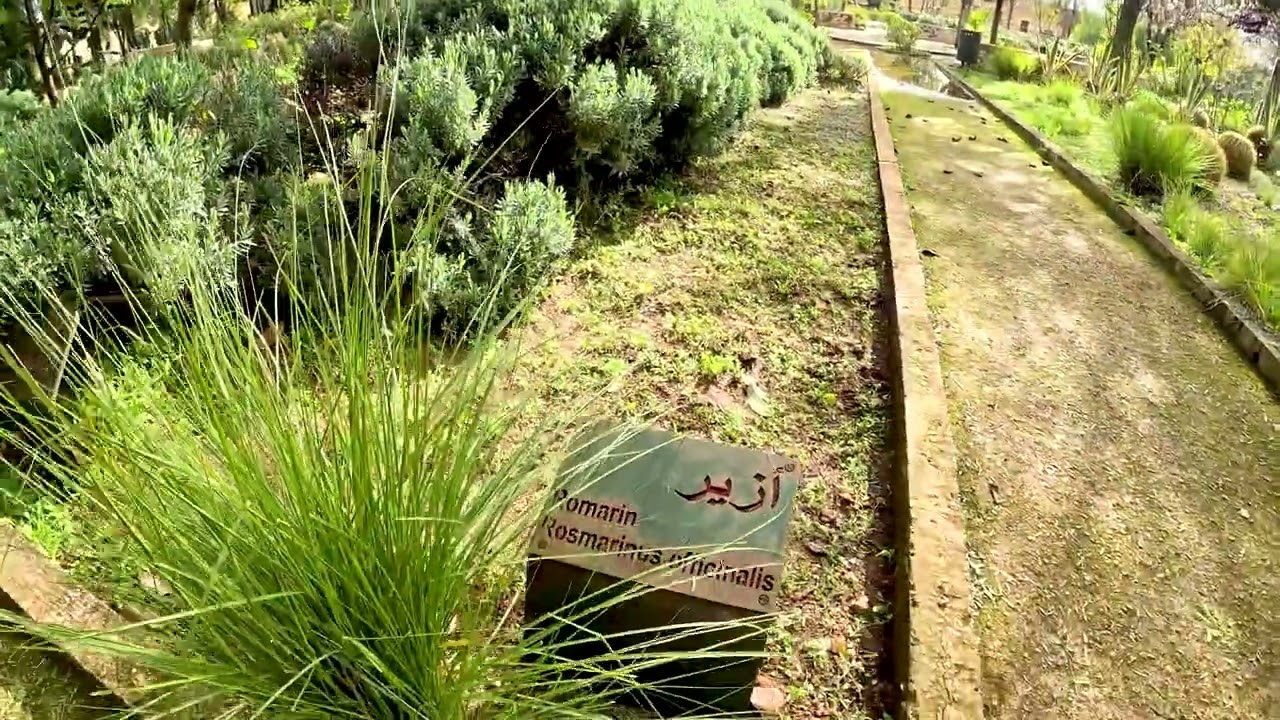 🌿 Visite de Jnan Sbil Fès | Balade au cœur du plus beau jardin de la ville