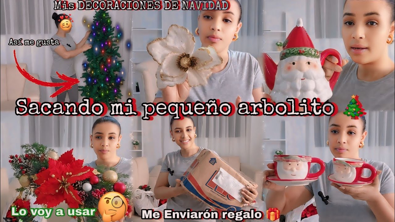Sacamos mi  ARBOLITO y las DECORACIONES NAVIDEÑAS // ME Enviarón REGALO