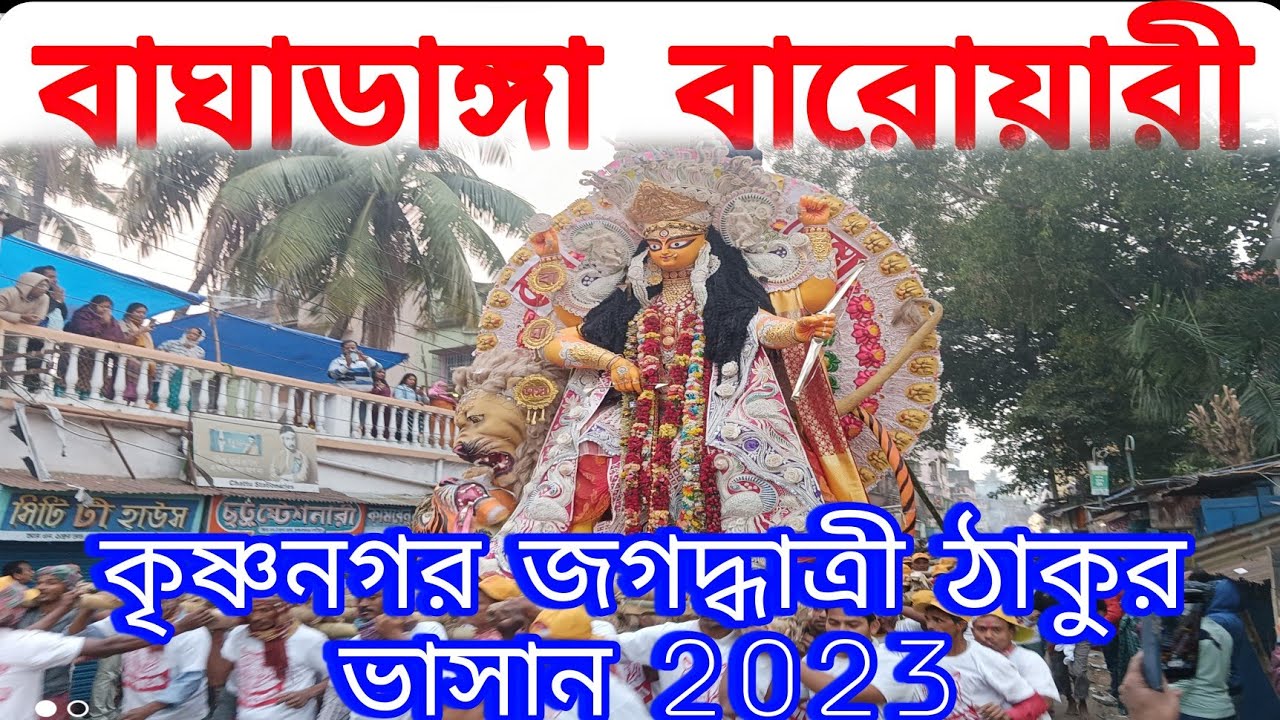 বাঘাডাঙ্গা বারোয়ারী জগদ্ধাত্রী ঠাকুর ভাসান 2023