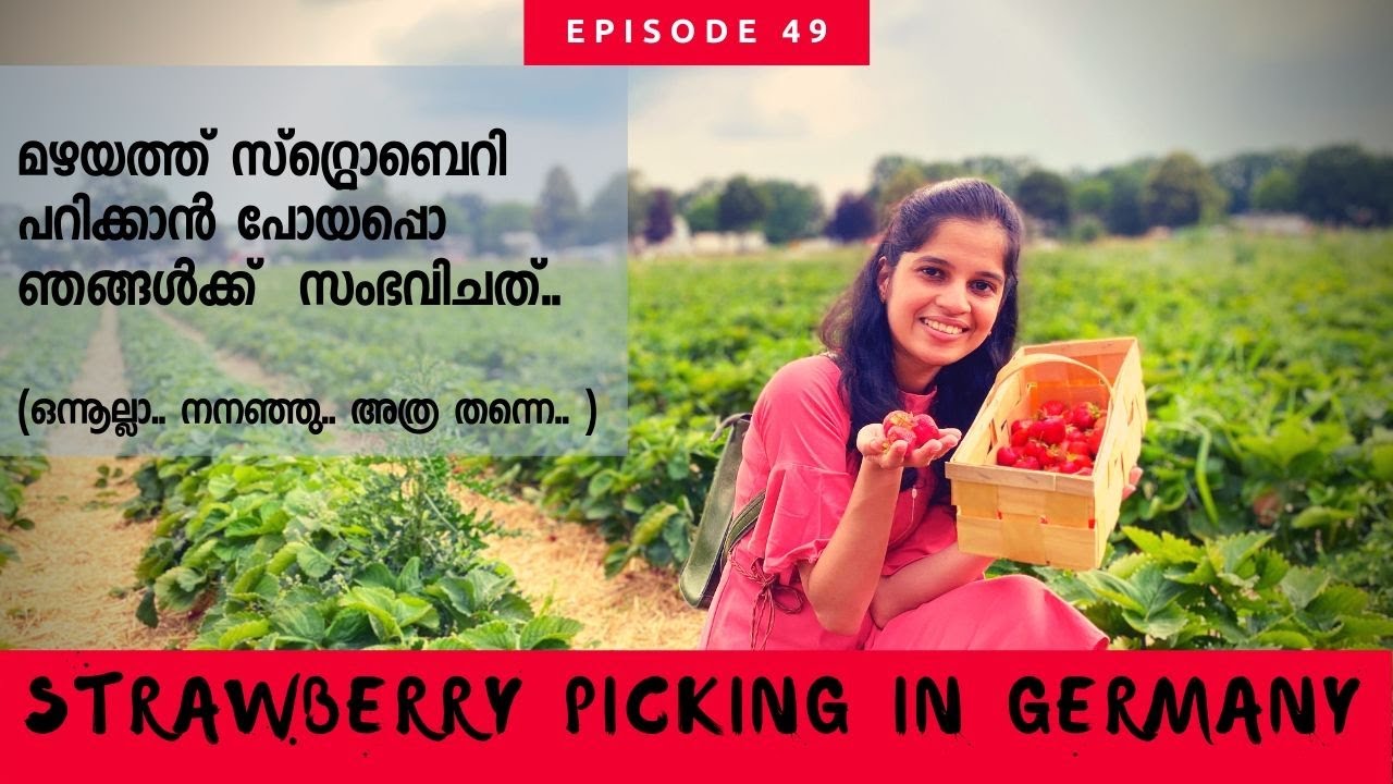 Visiting a Strawberry Farm in Germany | Germany Malayalam Vlog  | Strawberry Picking| German Diaries