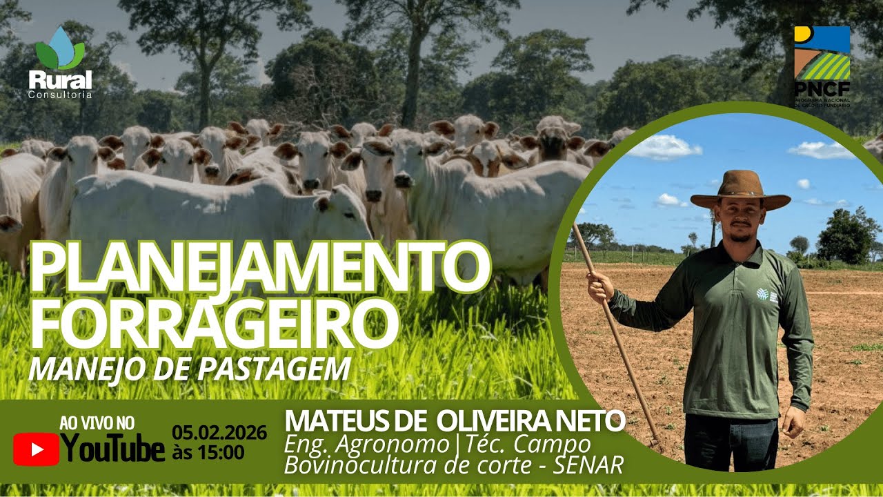 PLANEJAMENTO FORRAGEIRO: Manejo de Pastagens
