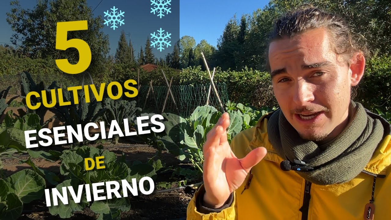 ❄️¿Qué Cultivar en Invierno? 🌱 5 Cultivos Esenciales para Tu Huerto de Invierno