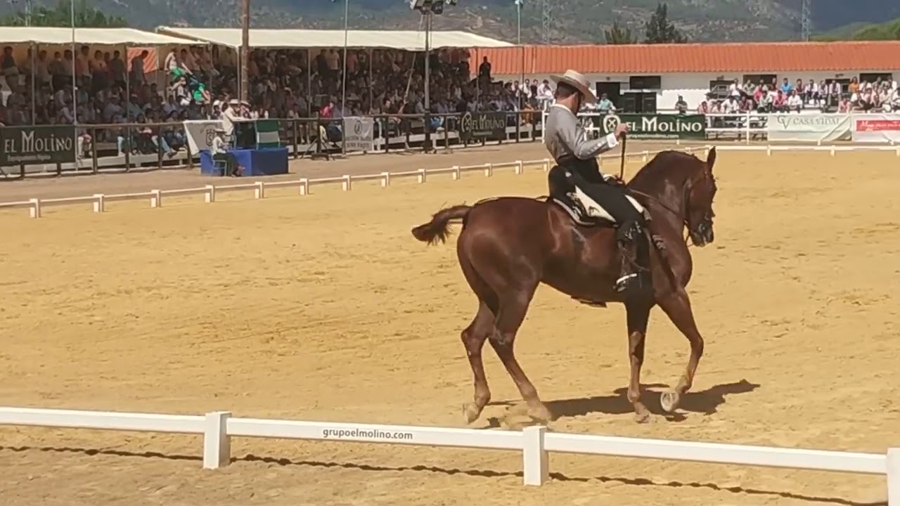 Alvaro Teba se proclama Campeón de Andalucía 2018 con 