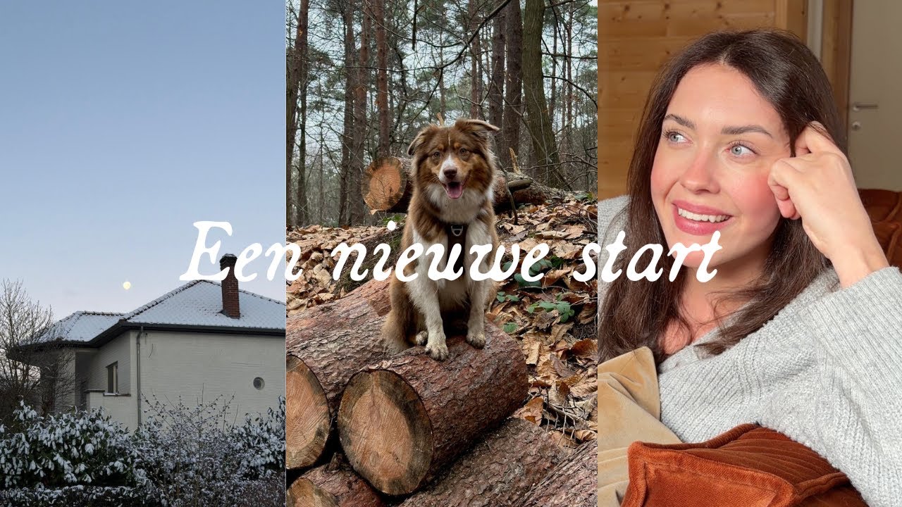 Een nieuw hoofdstuk | Leven in het bos, verbouwen & zoeken naar de geschiedenis van ons huis
