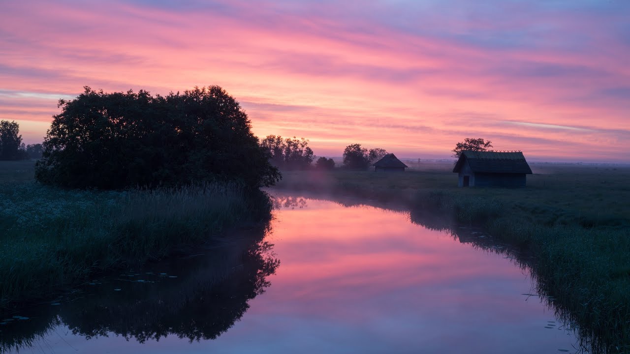 #1 Turning property in Estonia into a nature sanctuary.