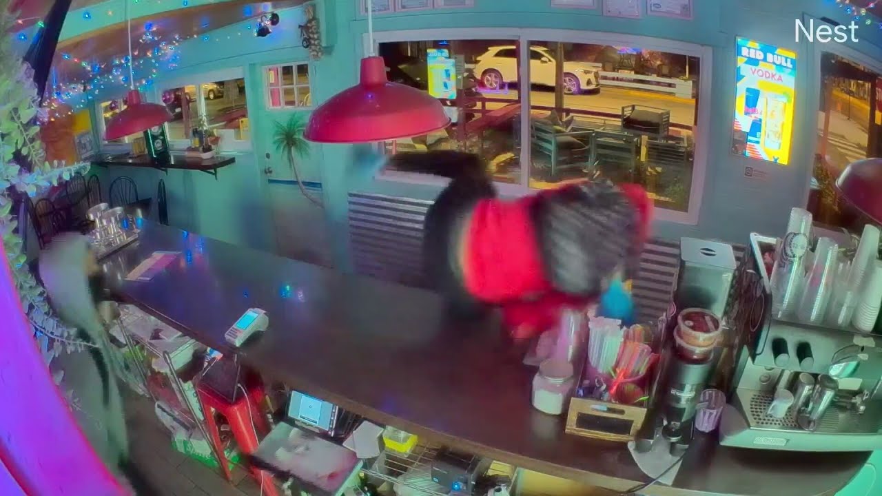 Smash-and-grab robbers hit Northwest Side businesses, including Mimas Taste of Cuba