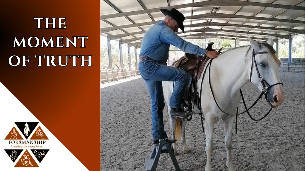 Mounting This Horse for the FIRST TIME (By Me) – What Really Happens