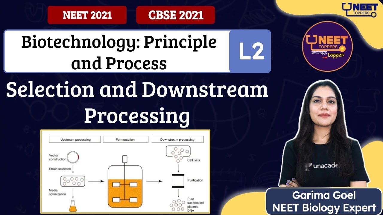 Phoenix 2.0: Biology Most Important Video for NEET 2025 | Unacademy NEET Toppers | Udaan