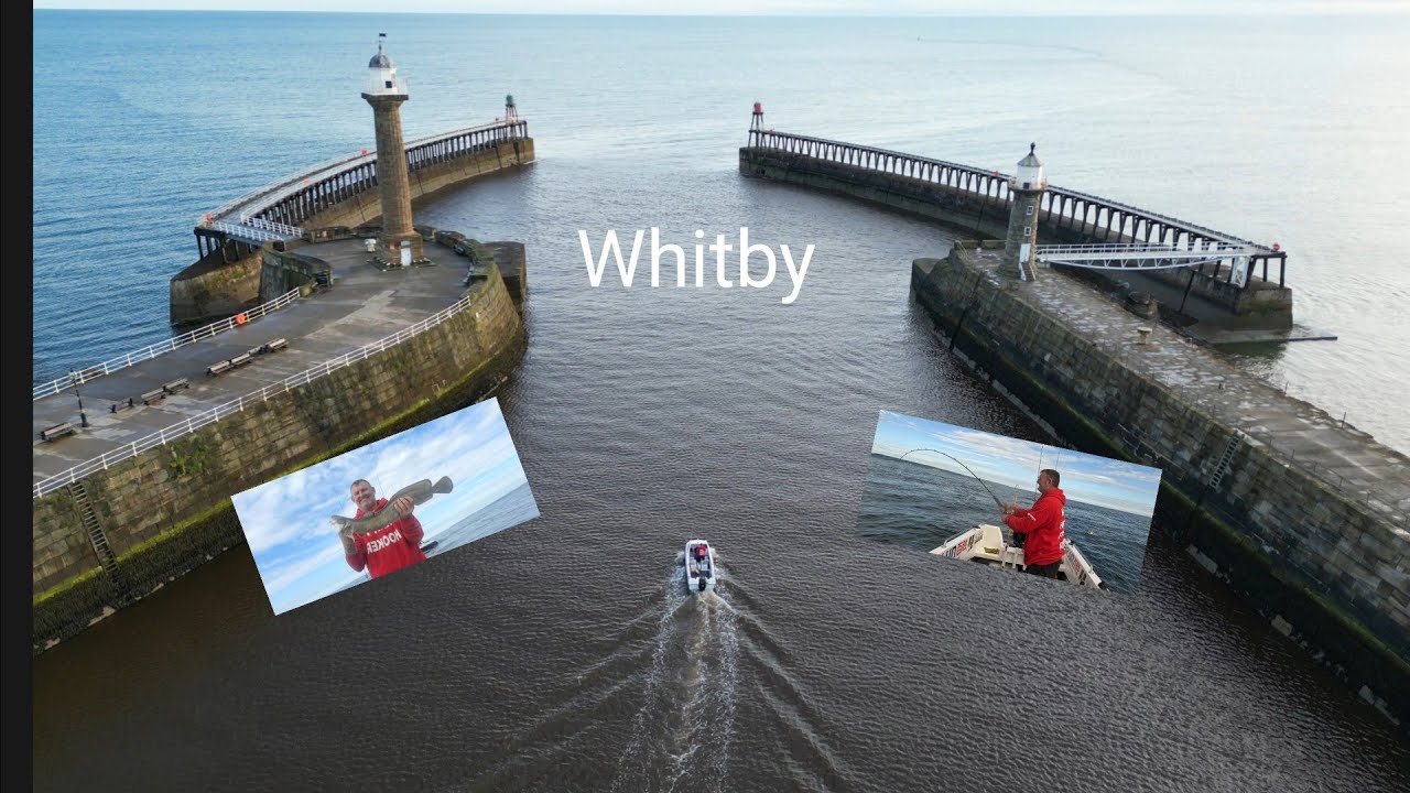 Whitby wreck fishing new pb and first achieved.  uk sea fishing
