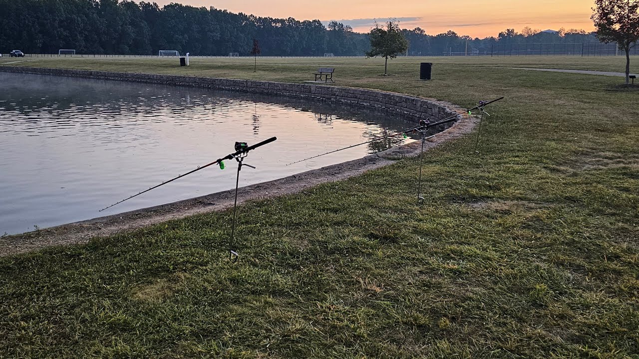 Carp and Catfish live fishing show
