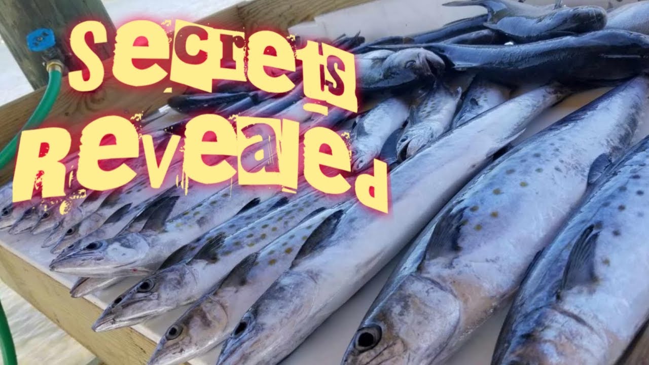 How to troll for Spanish Mackerel