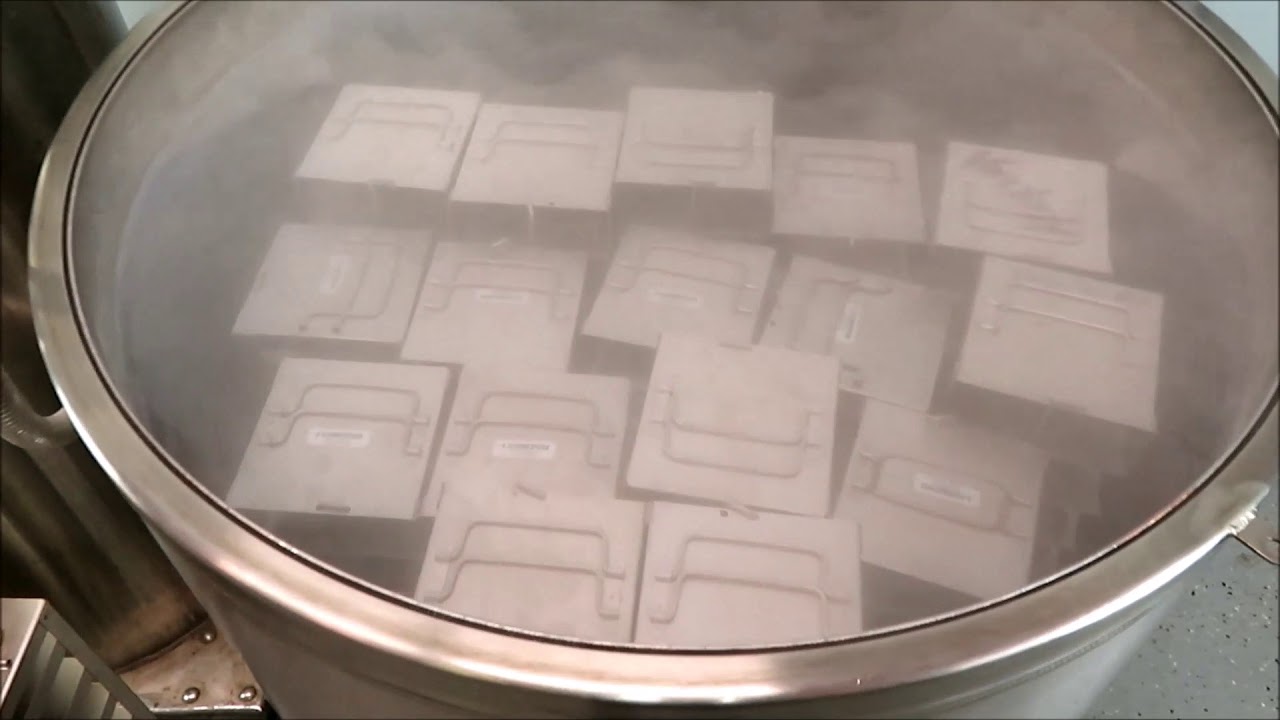 MVE 1400 Series Liquid Nitrogen Dewar with TEC 3000 Controller