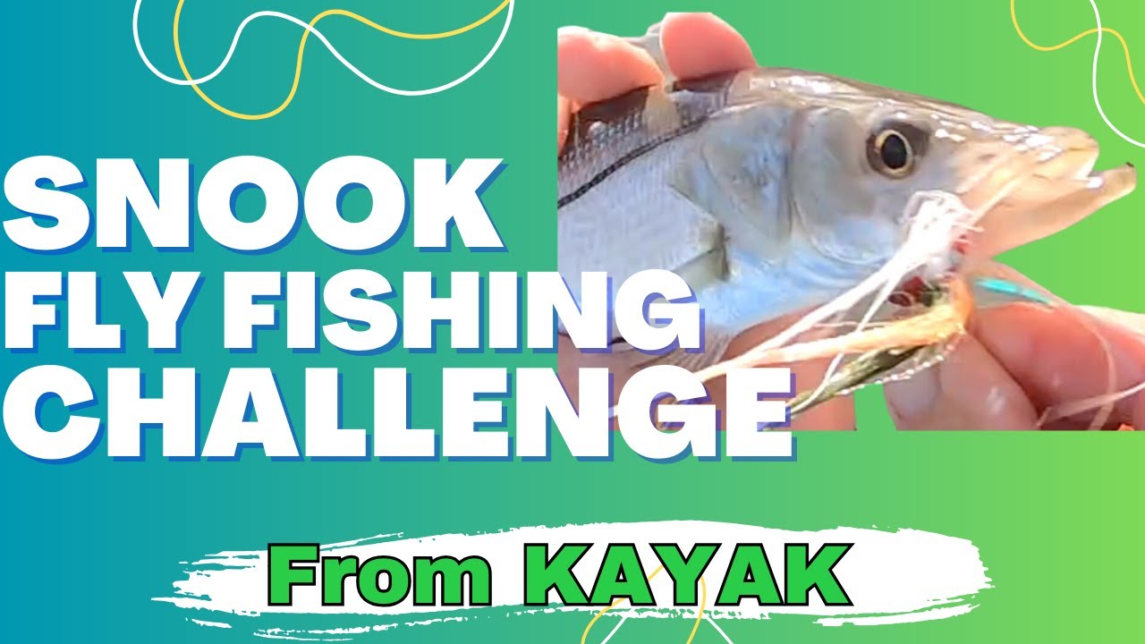 Snook on the Fly! Kayak Fly Fishing the Mangroves