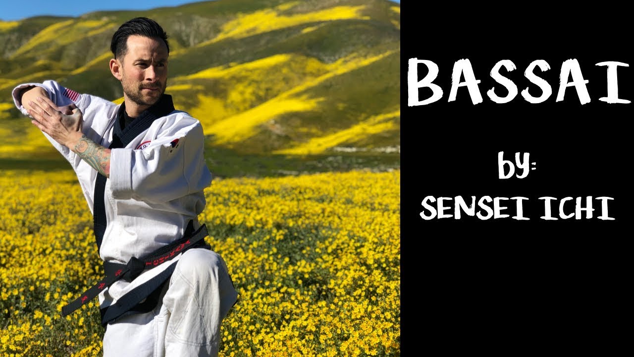 American Tang Soo Do | Bassai by Sensei Ichi