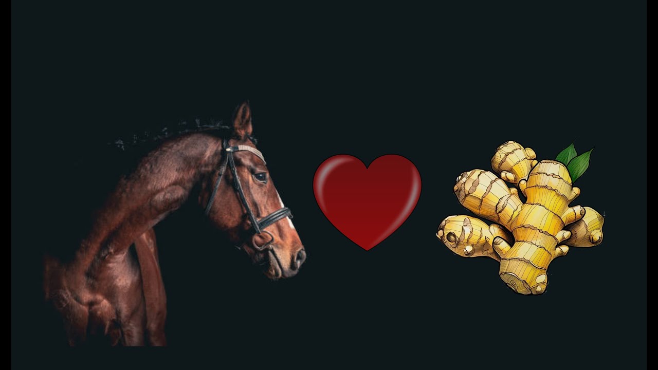 Developing a simple CRUD app with HTMX and Injee