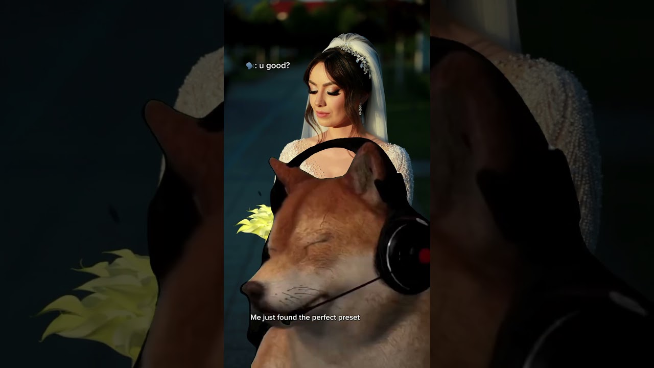 That one preset, you know what I'm talkin' about 😂😂 