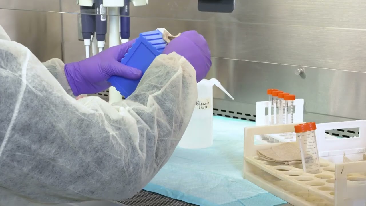 Containing Spills in Your Class II, Type A2 Biosafety Cabinet