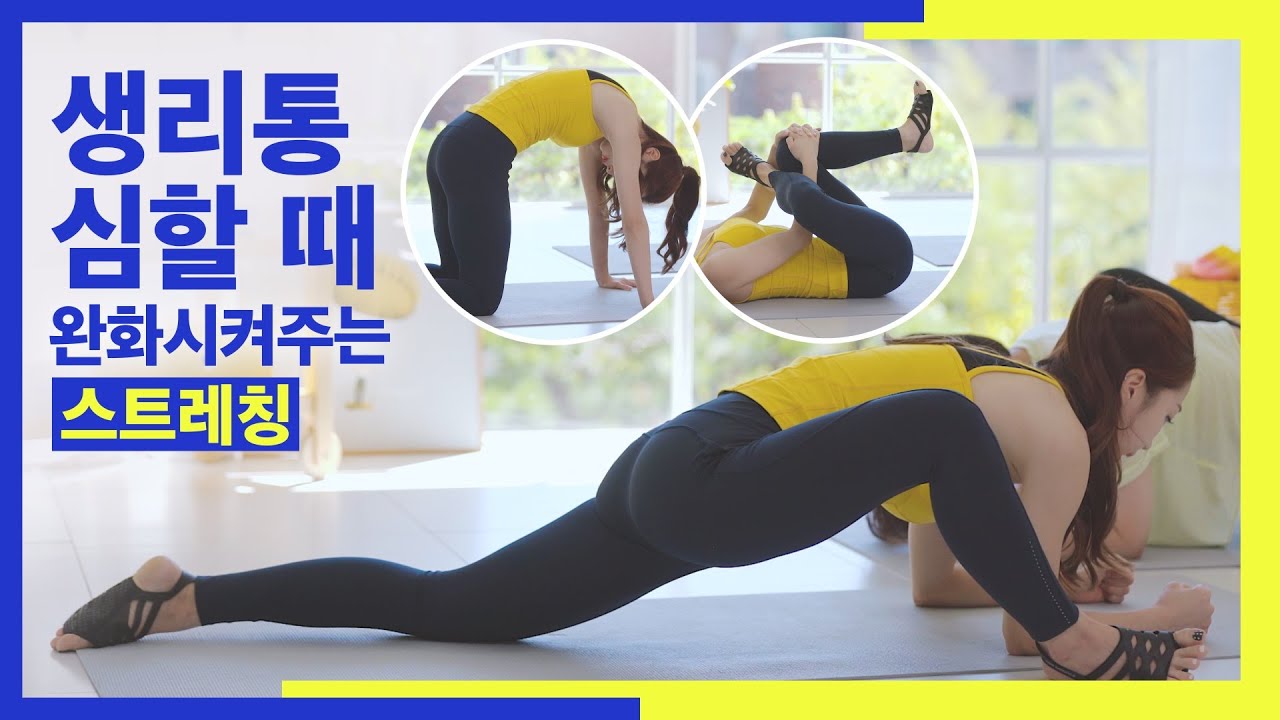 [딩고PT] 미친 듯이 고통스러운 생리통을 완화 시켜주는 스트레칭