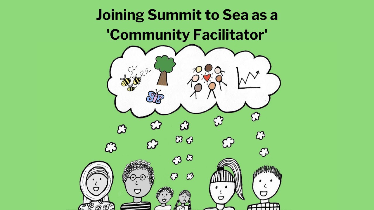 What is a Community Facilitator?