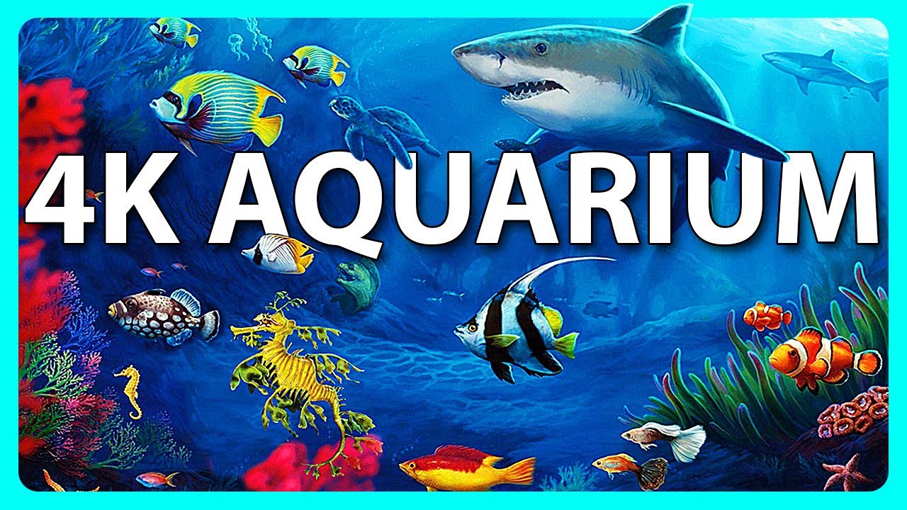 лучший расслабляющий аквариум в 4K UHD 🐠 Anti-Stress Music, Relax and Meditation.