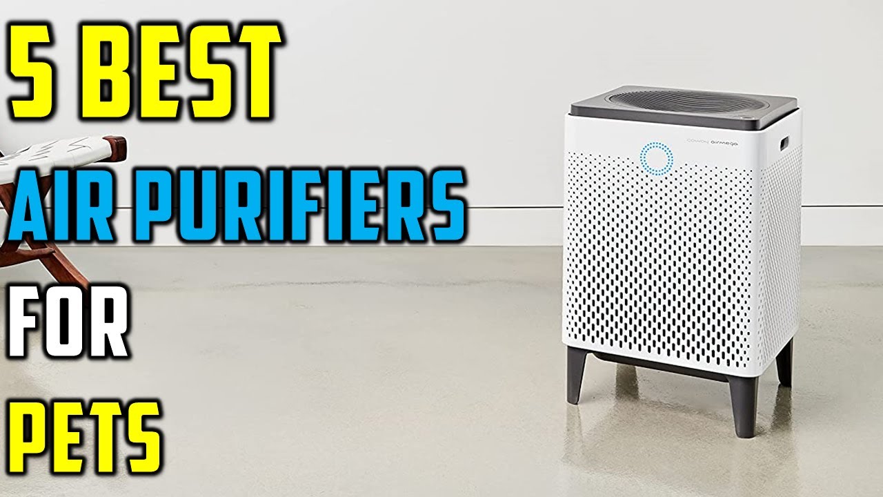 ✅Top 5 Best Air Purifiers for Pets in 2023 - The Best Air Purifiers for Pets Buying Guide {Reviews}