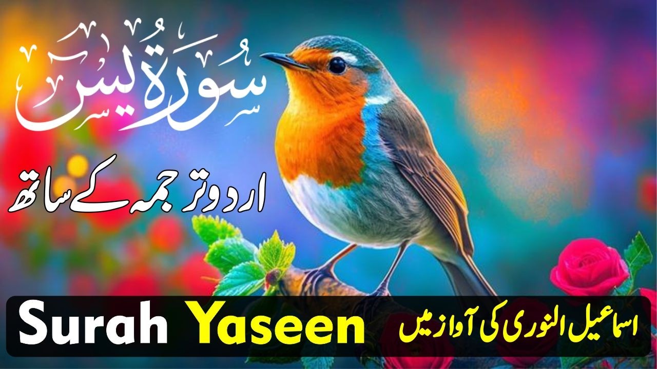Surah Yasin with Urdu Translation Full | Beautiful Quranic Recitation with Urdu & Hindi Tarjama Ep25
