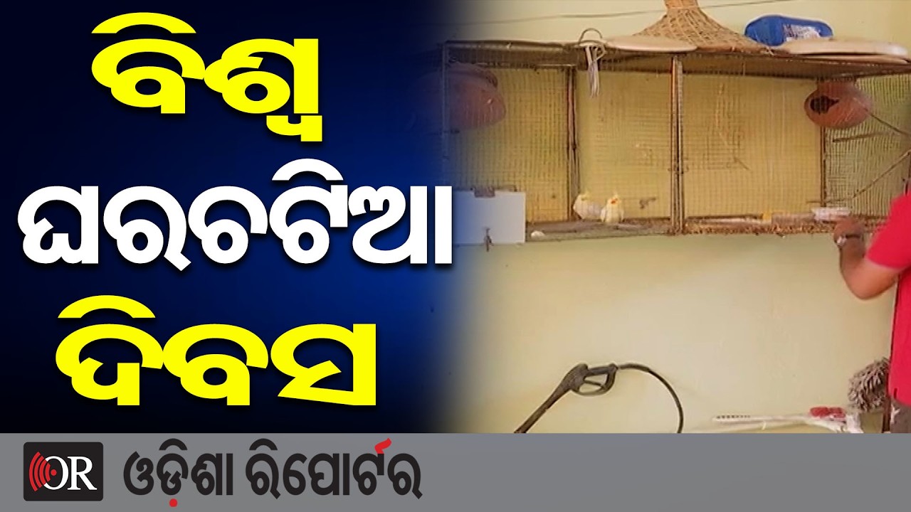 ବିଶ୍ୱ ଘରଚଟିଆ ଦିବସ | Odisha Reporter