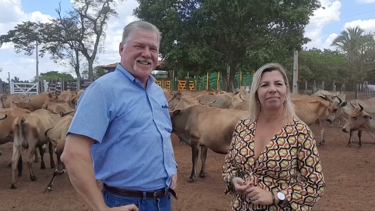 Fazenda de Campo Maior-PI se destaca na criação de gado Curraleiro Pé-Duro