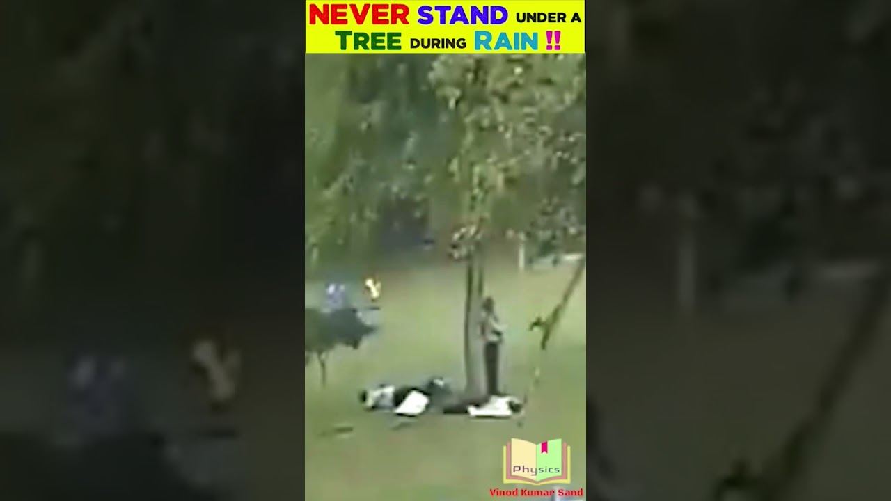 Never Stand under a TREE During RAIN !! #rain #physics #electricity #shocking #viral #viralshorts