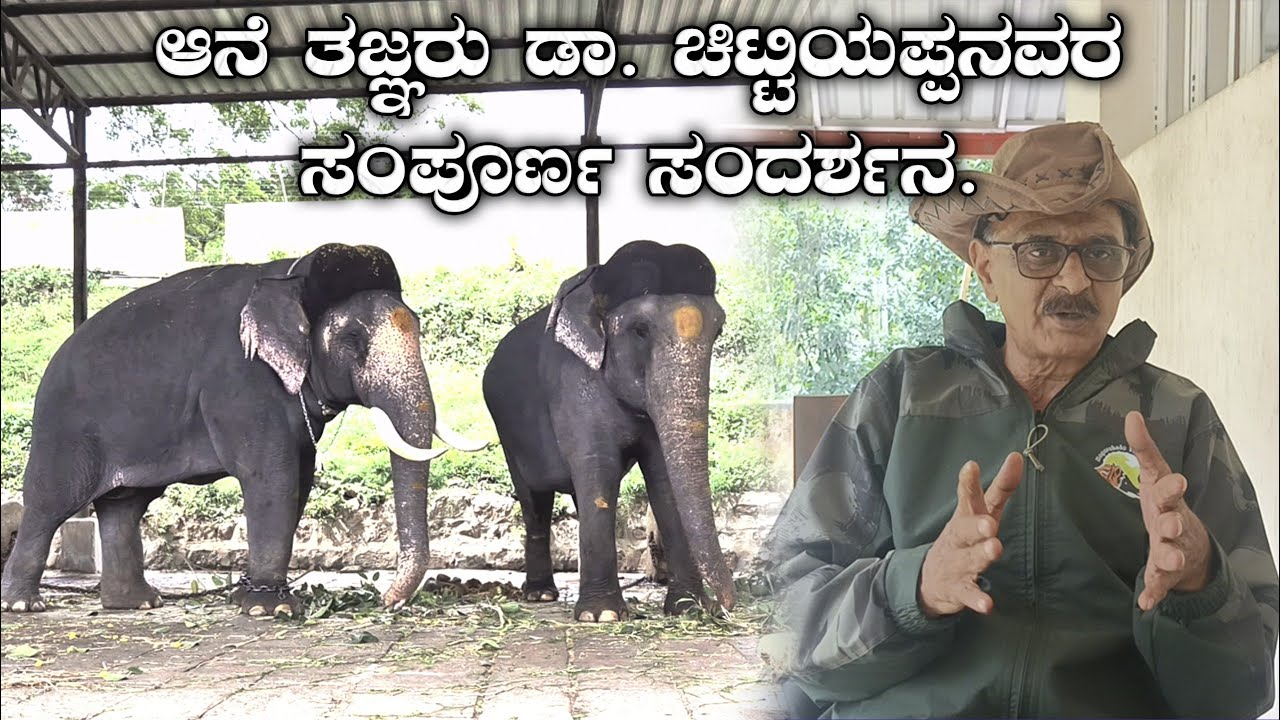 ಆನೆ ತಜ್ಞರು ಡಾ. ಚಿಟ್ಟಿಯಪ್ಪನವರ ಸಂಪೂರ್ಣ ಸಂದರ್ಶನ.| Wildlifekarunaadu | Dr Chittiyappa sir full interview