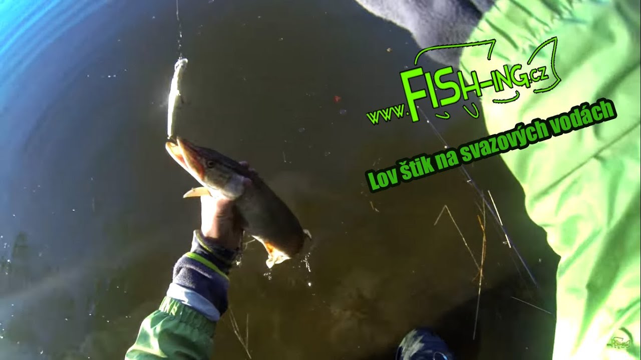 Lov štik na svazových vodách - Pike fishing