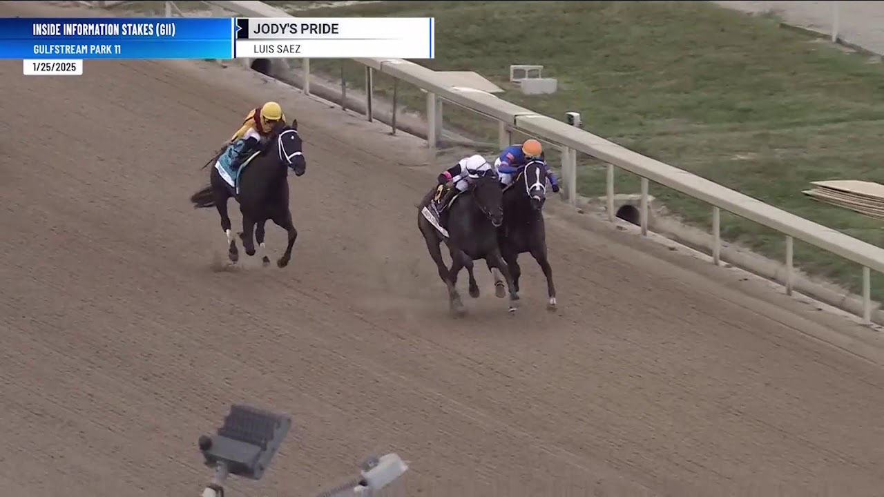 Handicapping the Rainbow 6 on Pegasus World Cup Day