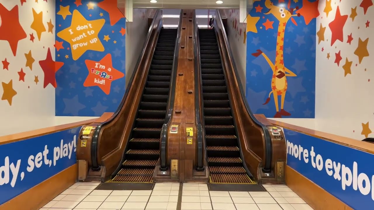 Wooden Escalators  at Macy’s