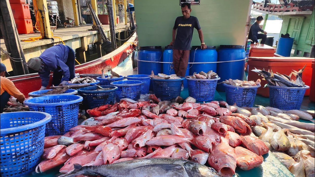 Hasil padu trip mancing laut dalam bersama tekong Medan TRF1413
