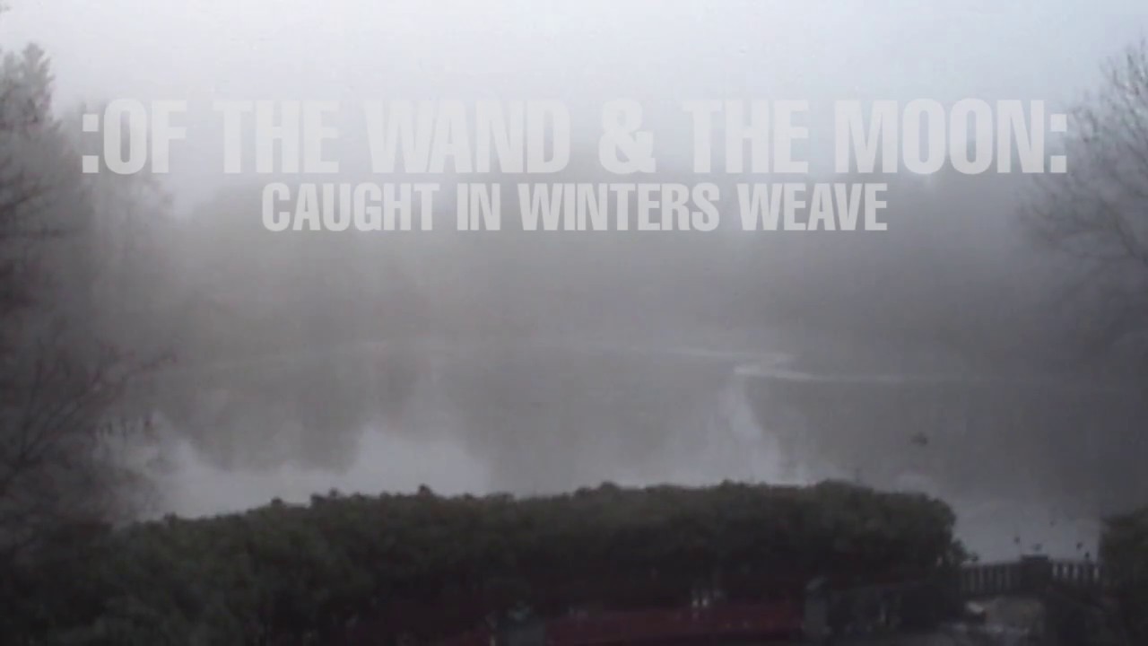 Caught In Winters Weave