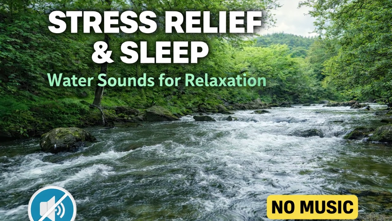 LIVE 12H River Sounds for Focus & Concentration