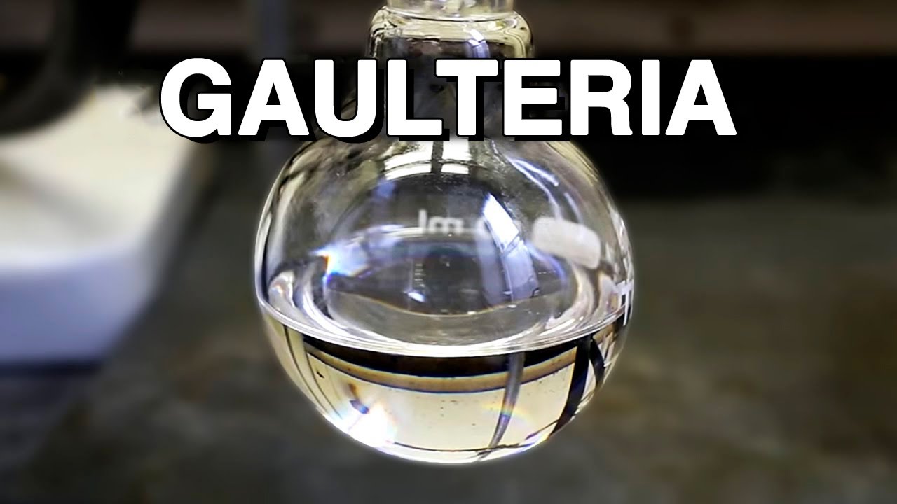 Haciendo Gaulteria (un olor y sabor a menta)