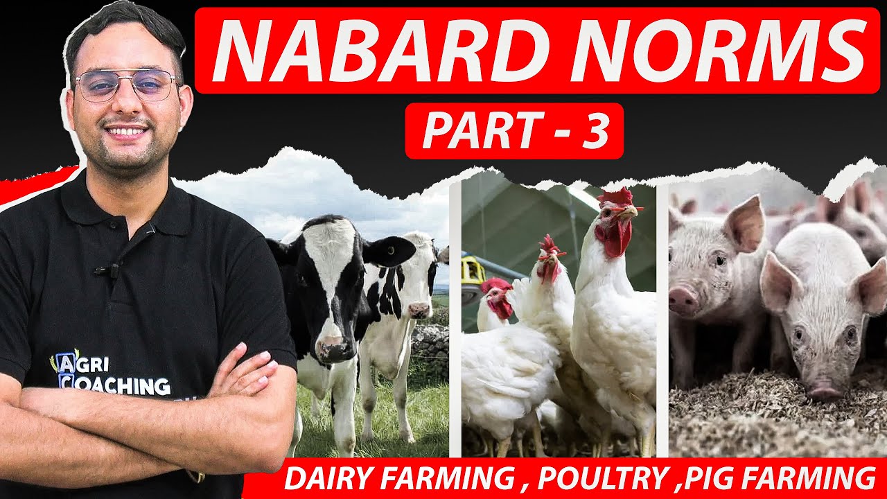 NABARD Norms-3 | Dairy Farming | Pig Farming | Poultry Broiler Farming