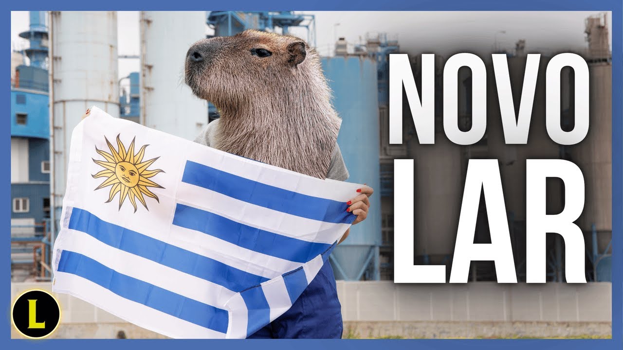 Por que morar no URUGUAI?