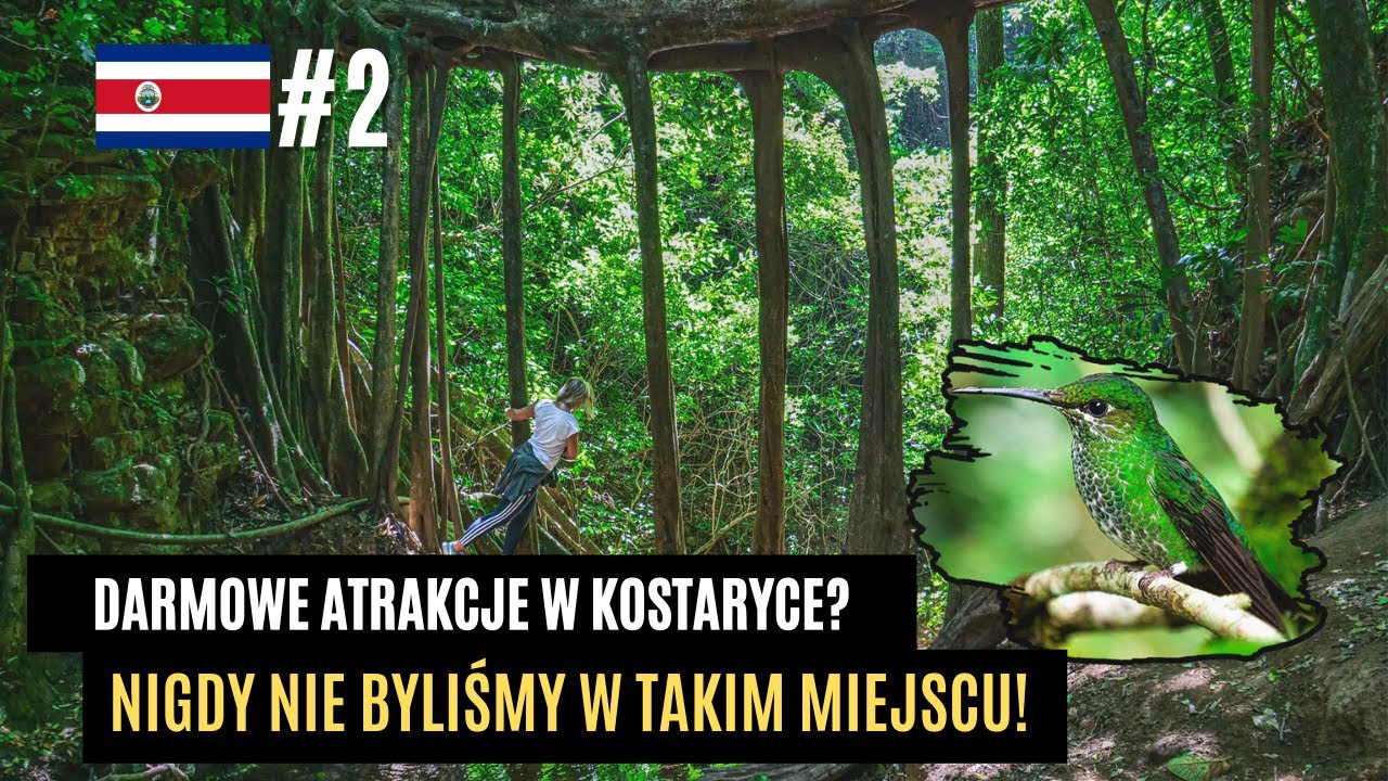 😮 TEGO NIE ZOBACZYSZ NIGDZIE INDZIEJ - Santa Elena i Monteverde. Kostaryka 🇨🇷 | Wiecznie Wolni #95